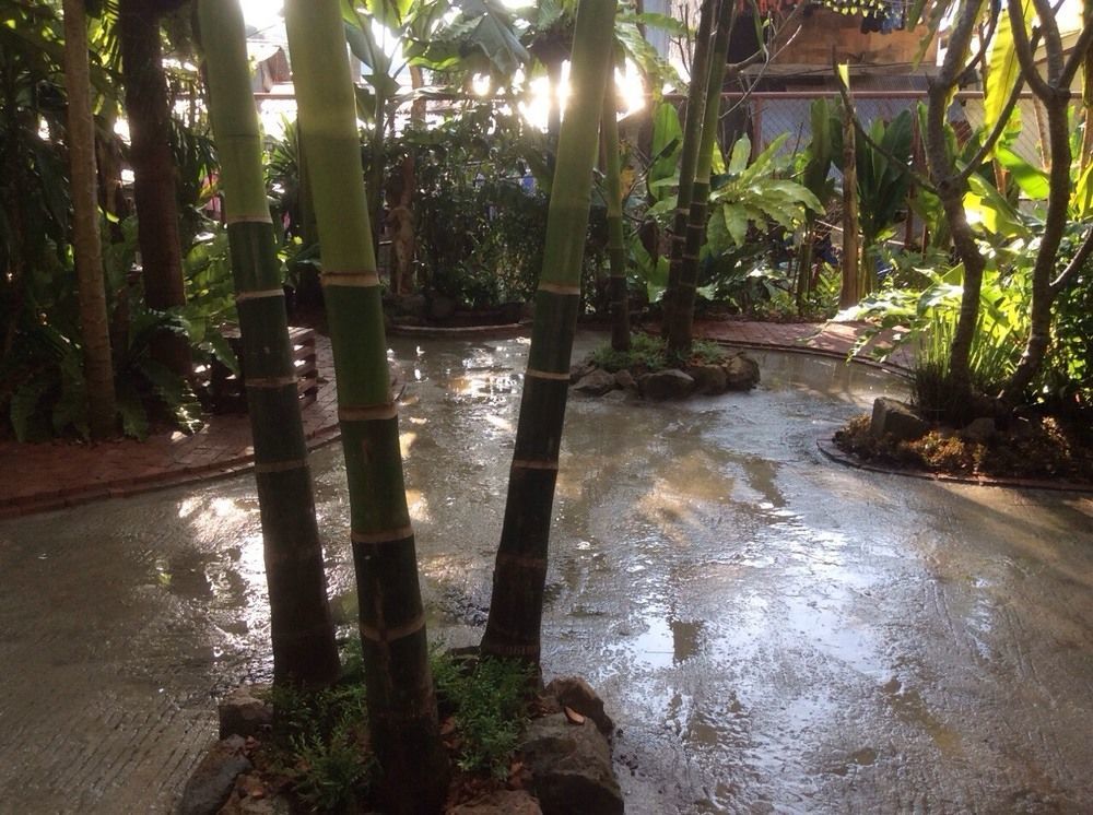 Oyo 585 Freedom Hostel @ Phi Phi المظهر الخارجي الصورة