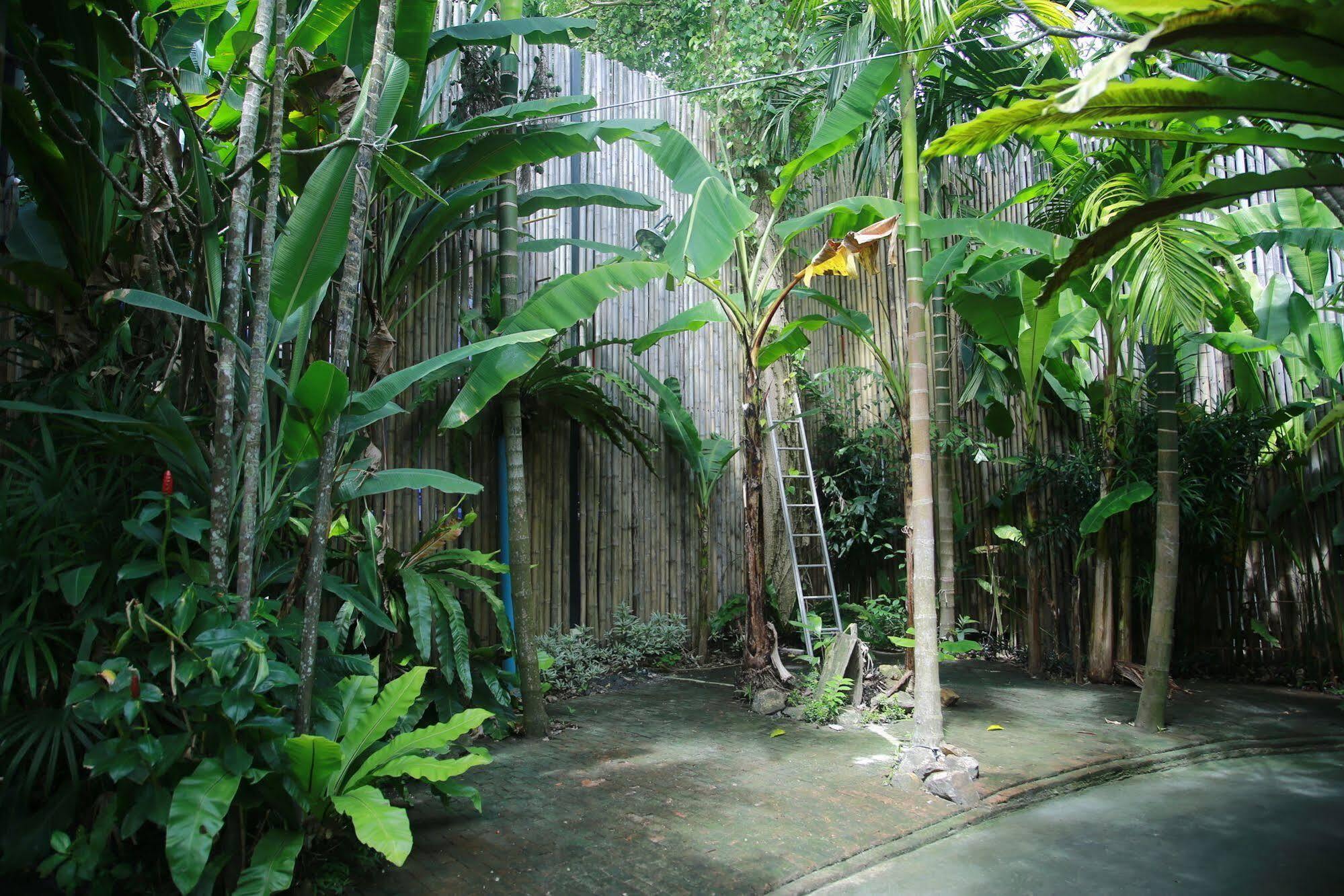 Oyo 585 Freedom Hostel @ Phi Phi المظهر الخارجي الصورة