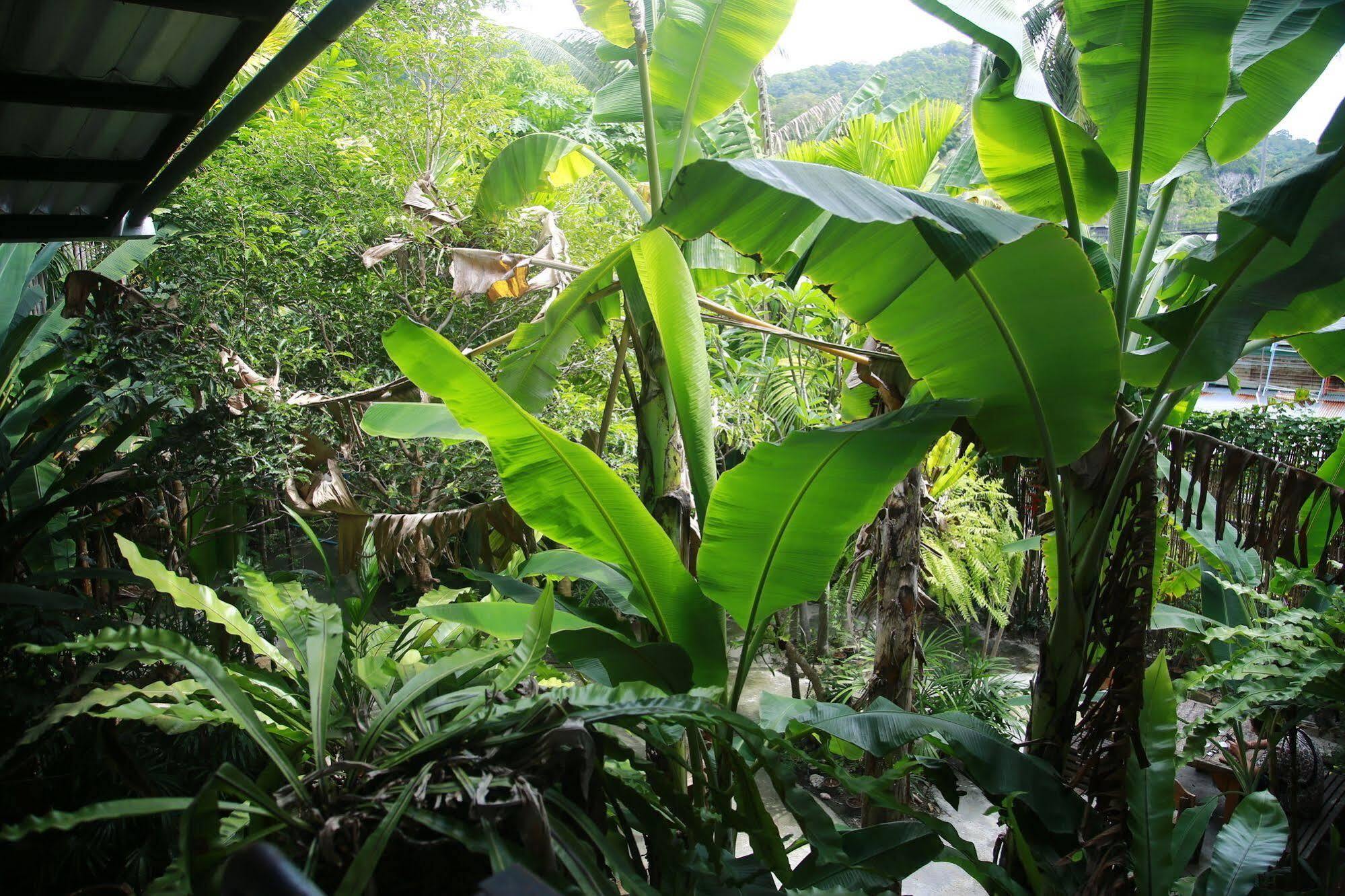 Oyo 585 Freedom Hostel @ Phi Phi المظهر الخارجي الصورة